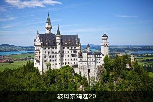 被母亲鸡娃20