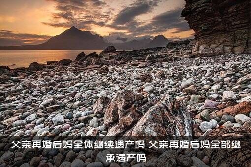 父亲再婚后妈全体继续遗产吗？父亲再婚后妈全部继承遗产吗？