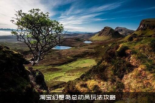 淘宝幻想岛总动员玩法攻略