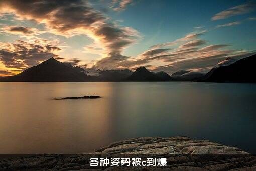 各种姿势被c到爆