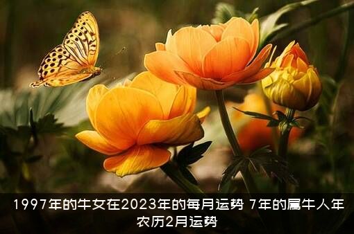 1997年的牛女在2023年的每月运势（7年的属牛人年农历2月运势）
