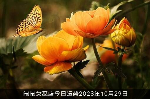 闹闹女巫店今日运势2023年10月29日