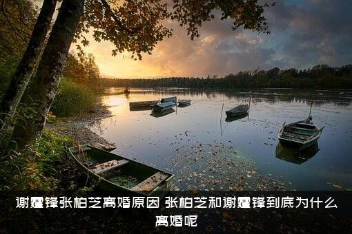 谢霆锋张柏芝离婚原因，张柏芝和谢霆锋到底为什么离婚呢？