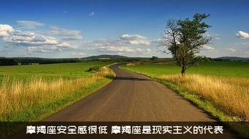 摩羯座安全感很低（摩羯座是现实主义的代表）
