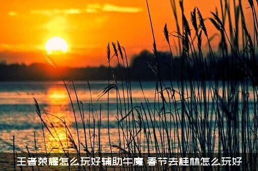 王者荣耀怎么玩好辅助牛魔？春节去桂林怎么玩好？