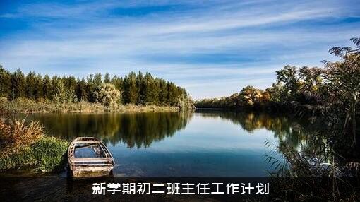 新学期初二班主任工作计划