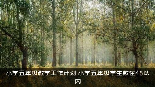 小学五年级教学工作计划（小学五年级学生数在45以内）