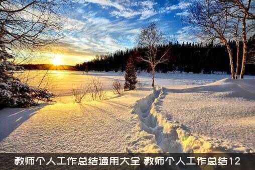 教师个人工作总结通用大全，教师个人工作总结12