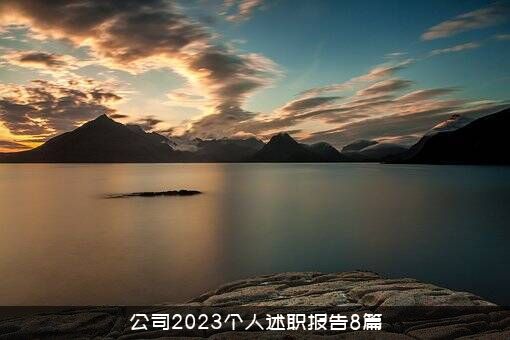 公司2023个人述职报告8篇
