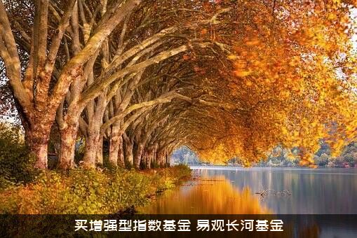买增强型指数基金（易观长河基金）
