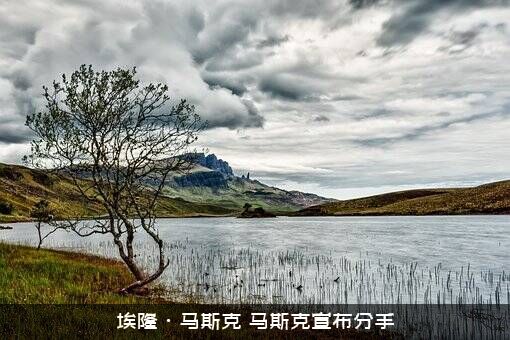 埃隆·马斯克（马斯克宣布分手）