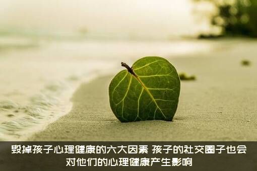 毁掉孩子心理健康的六大因素，孩子的社交圈子也会对他们的心理健康产生影响