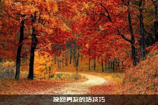挽回男友的话技巧