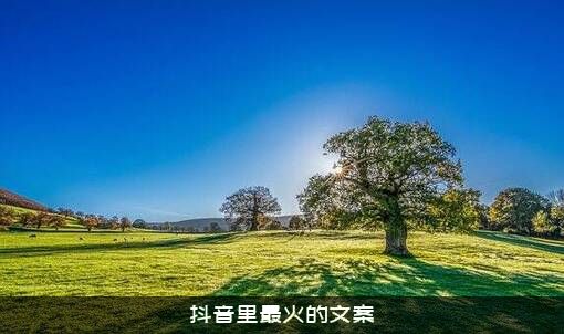 抖音里最火的文案