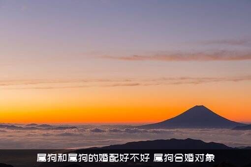属狗和属狗的婚配好不好（属狗合婚对象）