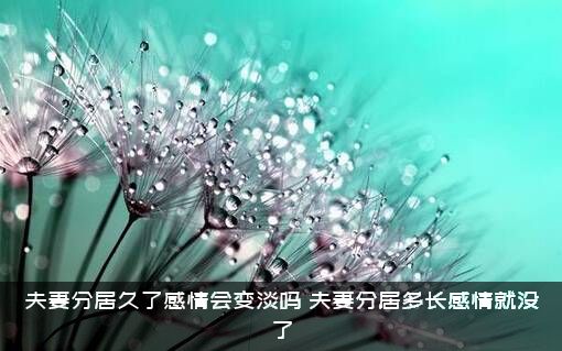 夫妻分居久了感情会变淡吗？夫妻分居多长感情就没了