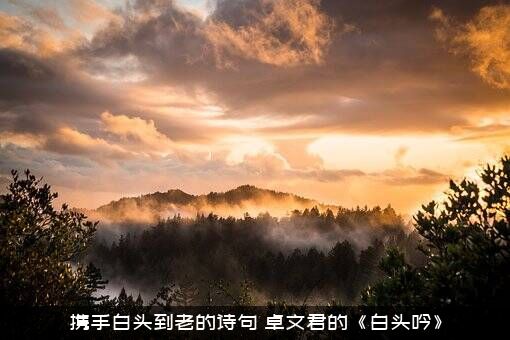携手白头到老的诗句（卓文君的《白头吟》）