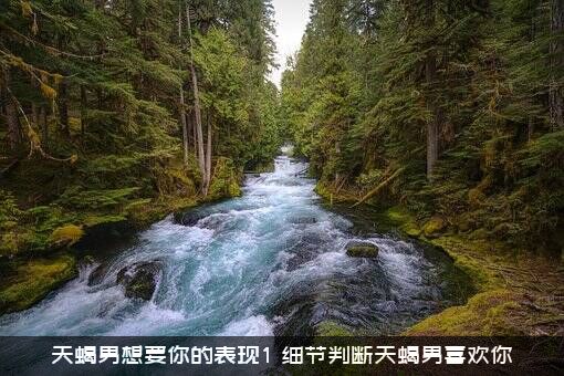 天蝎男想要你的表现1（细节判断天蝎男喜欢你）