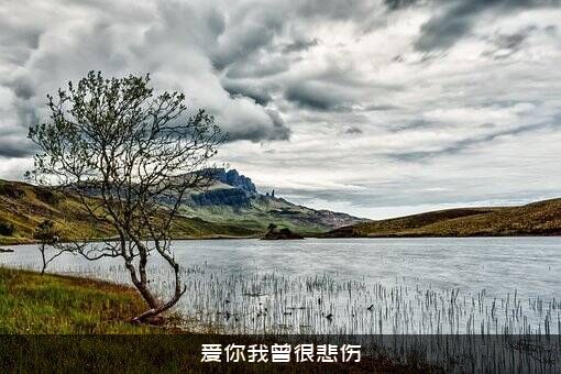 爱你我曾很悲伤
