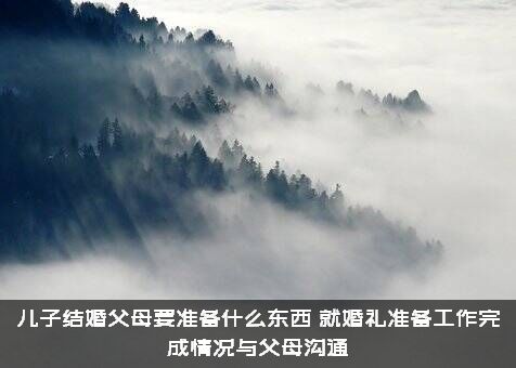 儿子结婚父母要准备什么东西？就婚礼准备工作完成情况与父母沟通