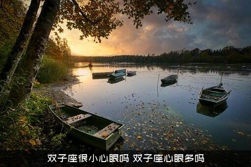 双子座很小心眼吗？双子座心眼多吗？