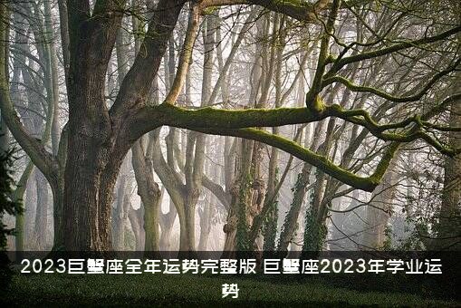 2023巨蟹座全年运势完整版（巨蟹座2023年学业运势）