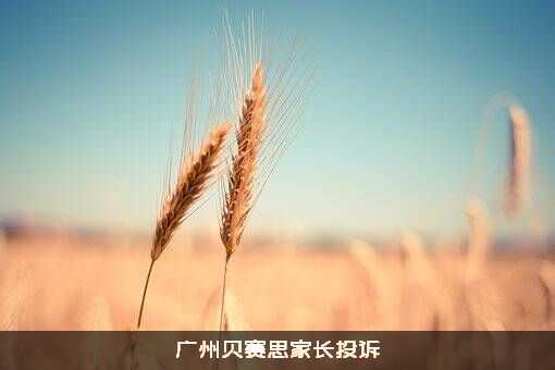 广州贝赛思家长投诉