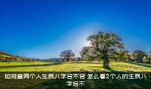 如何查两个人生辰八字合不合？怎么看2个人的生辰八字合不？
