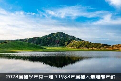 2023属猪今年有一难（71983年属猪人最难熬年龄）