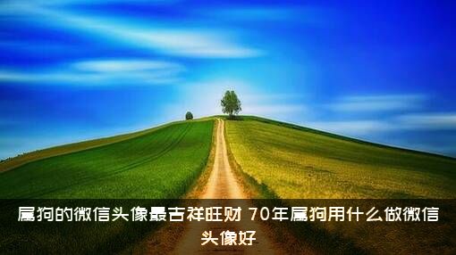 属狗的微信头像最吉祥旺财，70年属狗用什么做微信头像好？