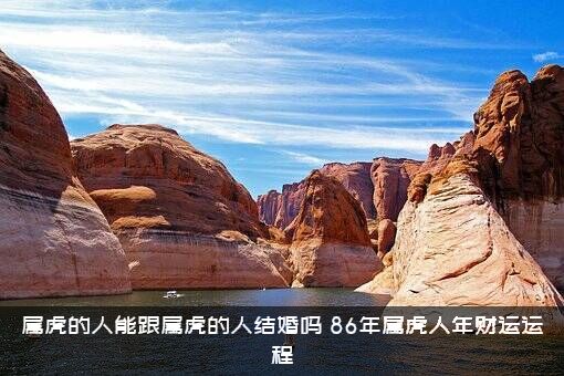 属虎的人能跟属虎的人结婚吗？86年属虎人年财运运程