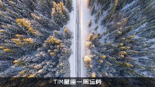 TIM星座一周运势