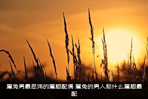 属兔男最忌讳的属相配偶，属兔的男人和什么属相最配？