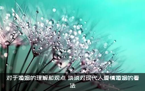 对于婚姻的理解和观点（谈谈对现代人爱情婚姻的看法）