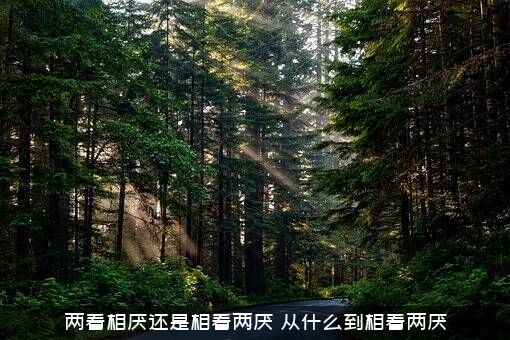 两看相厌还是相看两厌，从什么到相看两厌？