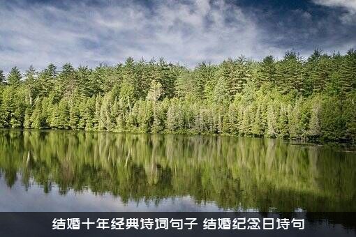 结婚十年经典诗词句子（结婚纪念日诗句）