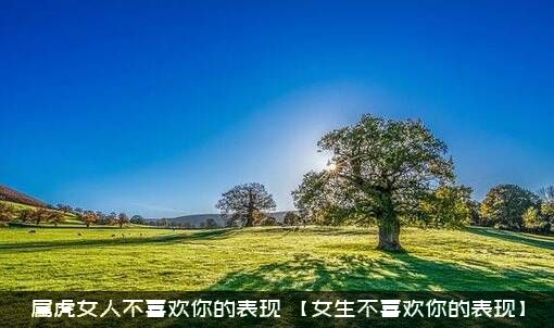 属虎女人不喜欢你的表现（【女生不喜欢你的表现】）