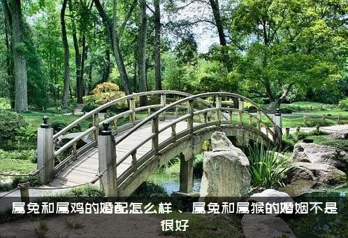 属兔和属鸡的婚配怎么样？、属兔和属猴的婚姻不是很好
