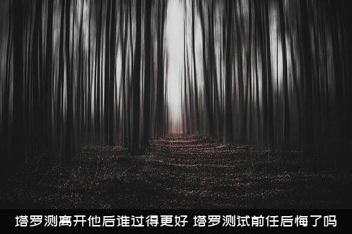 塔罗测离开他后谁过得更好？塔罗测试前任后悔了吗？