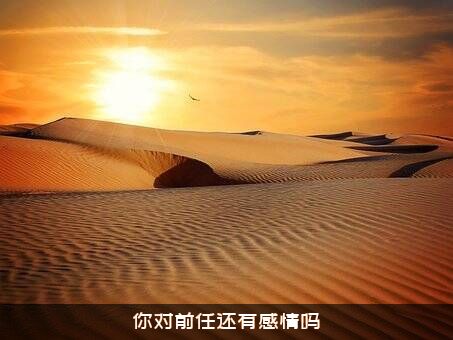 你对前任还有感情吗？