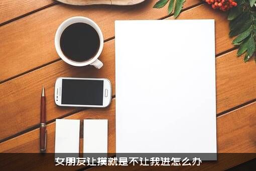 女朋友让摸就是不让我进怎么办？