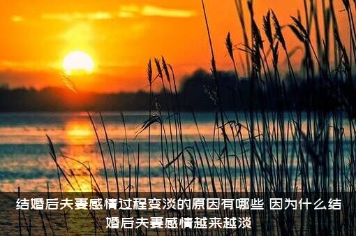 结婚后夫妻感情过程变淡的原因有哪些？因为什么结婚后夫妻感情越来越淡?？