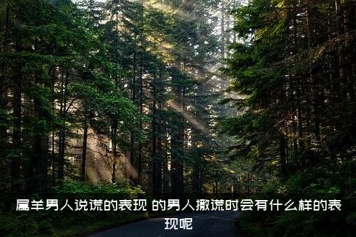 属羊男人说谎的表现，的男人撒谎时会有什么样的表现呢?？