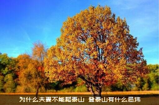 为什么夫妻不能爬泰山？￼登泰山有什么忌讳？