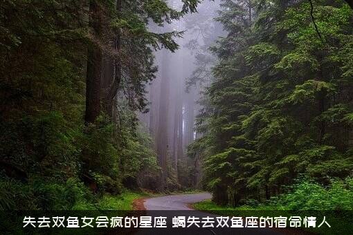 失去双鱼女会疯的星座（蝎失去双鱼座的宿命情人）