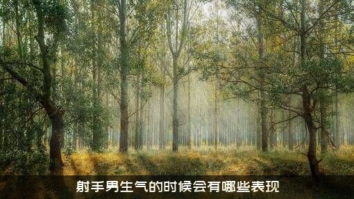 射手男生气的时候会有哪些表现？