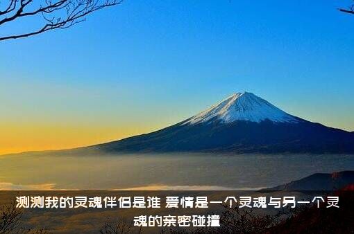 测测我的灵魂伴侣是谁？爱情是一个灵魂与另一个灵魂的亲密碰撞