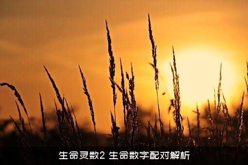 生命灵数2（生命数字配对解析）