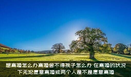 想离婚怎么办离婚舍不得孩子怎么办？在离婚的状况下无论愿意离婚或两个人是不是愿意离婚？