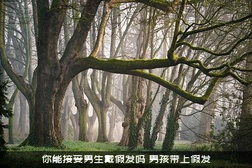 你能接受男生戴假发吗（男孩带上假发）